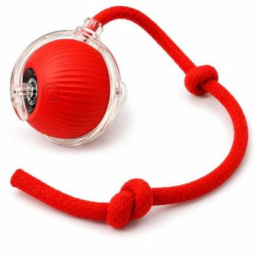 Imagem de Bola Giratória Inteligente para Pet Recarregável USB - generico, Verme