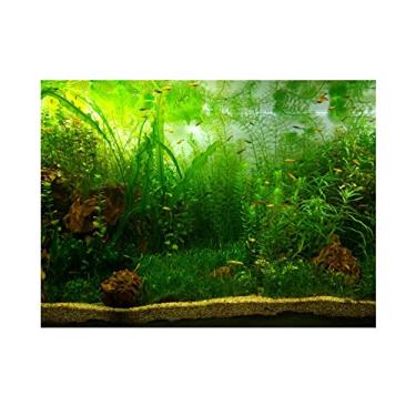 Imagem de Pôster de aquário em PVC espesso em papel de parede adesivo em PVC para decoração de fundo de aquário em forma de grama de água SheensSheens 61*41cm s0gdfguqey-02