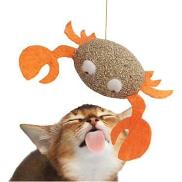 Imagem de Catnip Cat Brinquedos - Brinquedos para gatos com Catnip Brinquedos para gatos brinquedos para gatinhos - Brinquedo para mastigar para gatos dentro casa, brinquedo dental para Ngumms
