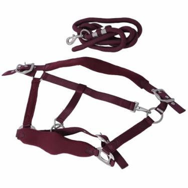 Imagem de Conjunto de Trela de Cabresto de Cavalo, Material de Poliéster Tamanho Ajustável 2m Trela Evita Fricção Cabresto de Treinamento de Cavalo Com Acolchoamento Acolchoado (Tamanho