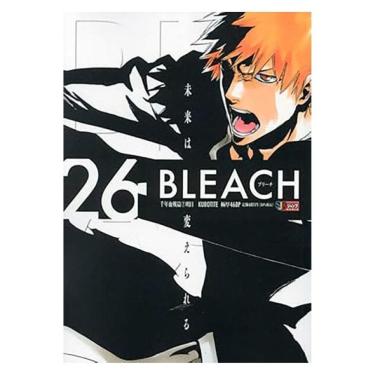 Imagem de Bleach Remix Vol. 26