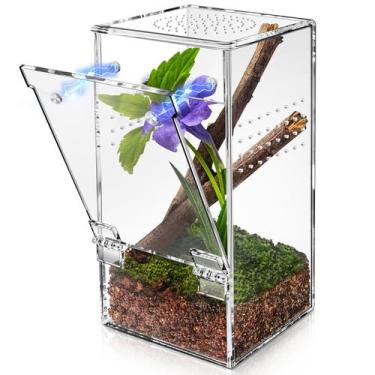 Imagem de Terrário Mini Aranha Harhana 8x8x15cm - Ideal para Jumping Spider