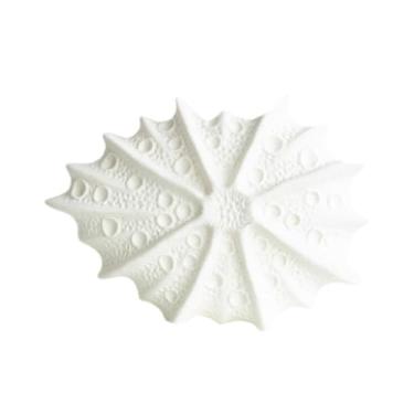 Imagem de Bothyi Vaso de cerâmica, vaso de flores com conchas, decoração moderna, decoração para entrada, lareira, estante de livros, sala de estar, Branco, S