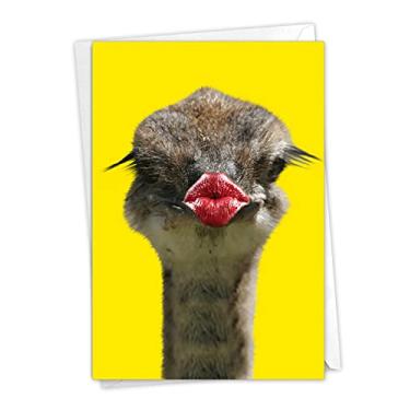 Imagem de NobleWorks Wild Kisses-Avestruz - Cartão de felicitações Get Well com envelope (12 x 16 cm) - C9280GGWG