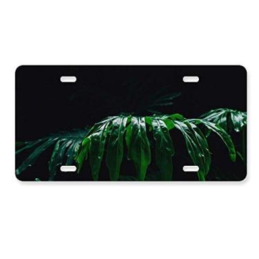 Imagem de DIYthinker Foto de folhas de fotografia, imagem de planta, placa de licença natural, acessório de aço inoxidável