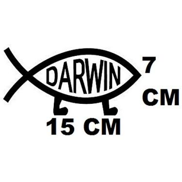 Imagem de Adesivo em Vinil Peixe Darwin (AMARELO)