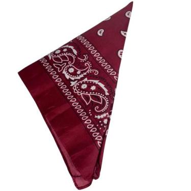 Imagem de Bandana Paisley Country Sertaneja Lenço Pescoço Cabeça E Pet - OKLAHOM