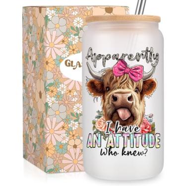 Imagem de Fairy's Gift Copo engraçado de vaca Highland, copo com estampa de vaca sarcástica, xícaras de café de vidro fosco de 473 ml com tampas de canudos, coisas de vaca Highland, Natal, aniversário,