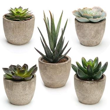 Imagem de Coitak Plantas suculentas artificiais em vaso, decorativas, sortidas, suculentas falsas em vaso, plantas de cacto falsas com vasos, conjunto de 5