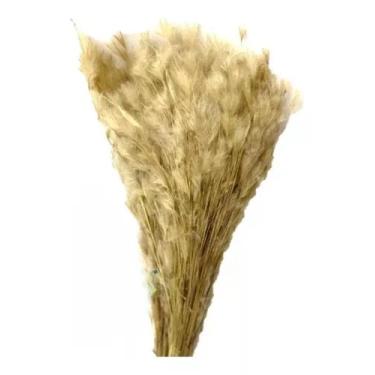 Imagem de Buque Pluma Pampas Grass Luxo Arranjo Elegante Decoração Lar - FLORA F