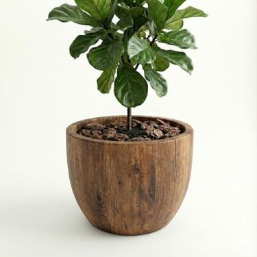 Imagem de Genérico, Cimento, Vaso Redondo, Verde, 11x12x10 cm, Texturizado com Relevo, Decorativo para Plantas, Elegância para seu Lar