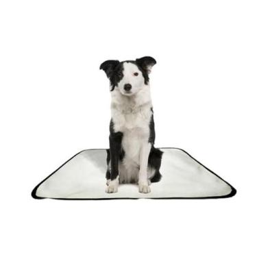 Imagem de Tapete Pet Reutilizável Educador Dog Oferta 2 Un M1 70X100Cm - Shelby 