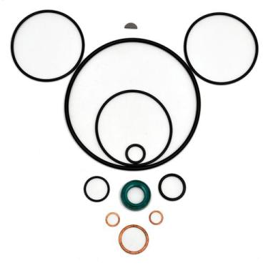 Imagem de Conjunto kit reparo bomba direção hidráulica para zf gm caneco opala a