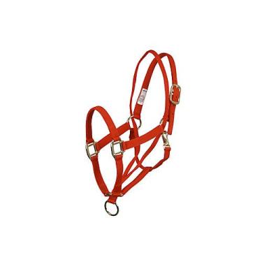 Imagem de Aime Imports Basic Pull Back Training Halter Red