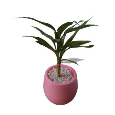 Imagem de Mini bambu da sorte c/vaso auto irritável - Quintal do bonsai , Rosa