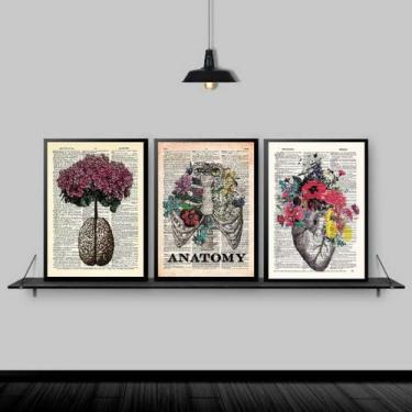 Imagem de Kit 3 Quadros Medicina Anatomia Flores 24x18cm - Quadros On-line, Made