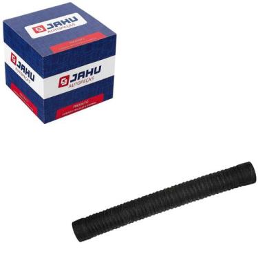 Imagem de Mangueira Do Filtro De Ar F1000 1980 A 1992 / F11000 1980 A 1992 / F12