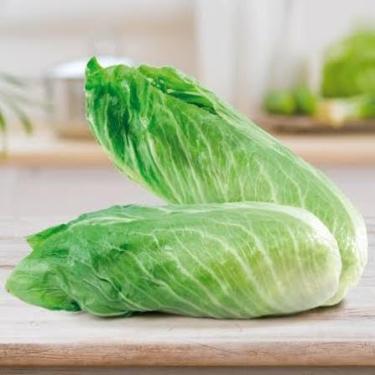 Imagem de 300 unidades de Sementes de Almeirão Pão de Açúcar