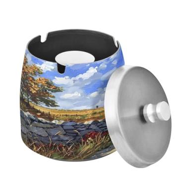 Imagem de Blueangle Cinzeiro doméstico camponês com tampa para cigarros, à prova de vento/chuva, aço inoxidável, sem fumaça, inodoro, cinzeiro para uso interno ou externo (392)