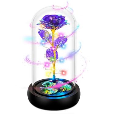 Imagem de MetJakt Presentes para ela, presentes de aniversário para mulheres, presentes de rosa de dia das mães para mãe, flores coloridas arco-íris iluminadas em cúpula de vidro, presentes femininos para