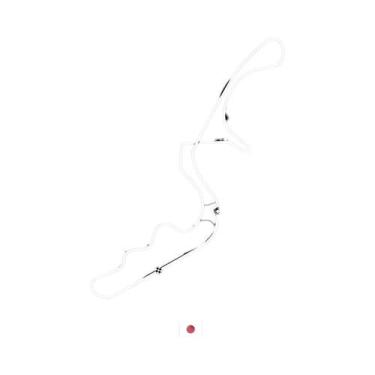 Imagem de 2024 Fórmula 1 Mapa De Pista Arte De Parede Pintura Em Tela Circuito D