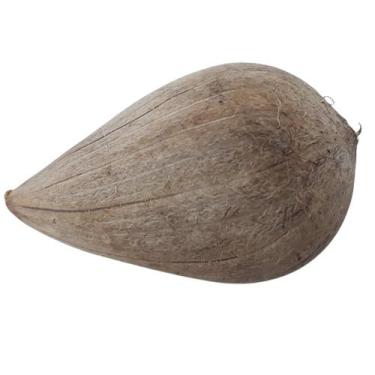 Imagem de Fava de Ifá  Sabedoria  Proteção  Conexão com o Sagrado - Estrela Magi