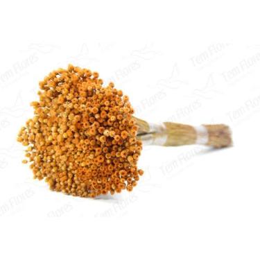 Imagem de Buque de Jazida Desidratado - Pense Flores, Laranja