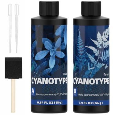 Imagem de Kit de produtos químicos de cianótipo artístico de 473 ml com ferramentas para plantas fotográficas, pó de corante sensibilizador de cianótipo para iniciantes e artistas, kit de impressão solar para