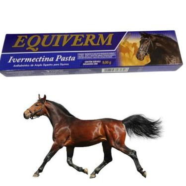Imagem de Equiverm Pasta Anti Helmíntico Para Equídeos 9g Vetbras
