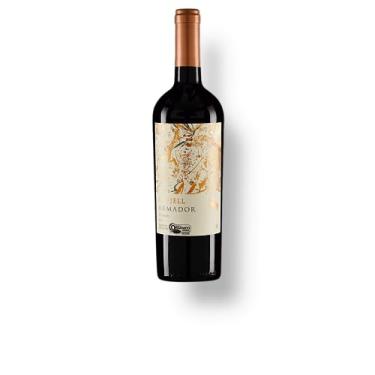 Imagem de Vinho Chileno Odfjell Armador Syrah"orgânico"