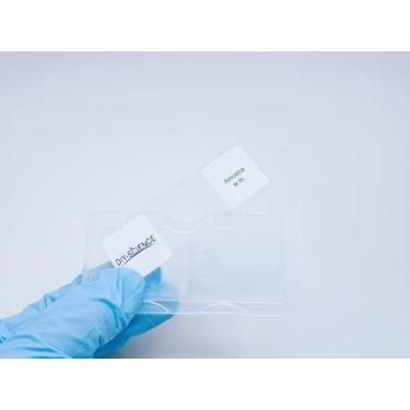 Imagem de Amoeba Proteus lâminas de microscópio preparadas para montagem inteira, 1 peça de slides de ameba mostra o núcleo, o citoplasma e a membrana celular