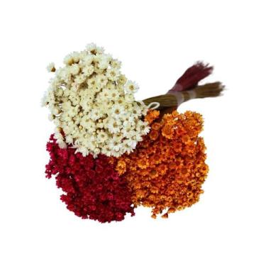 Imagem de Kit Sempre Viva 3 Cores - Branca, Laranja e Marsala - Pense Flores