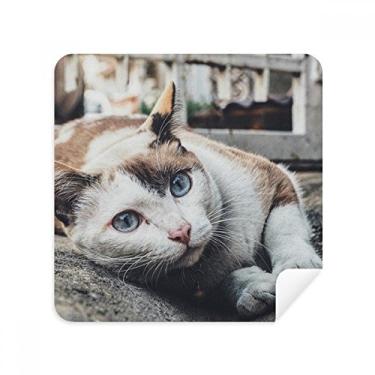 Imagem de Óculos de limpeza de tela com foto de gato colorido animal tecido camurça pacote com 2