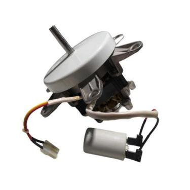 Imagem de Motor 220v centrifuga dry nina mueller 500020151 original