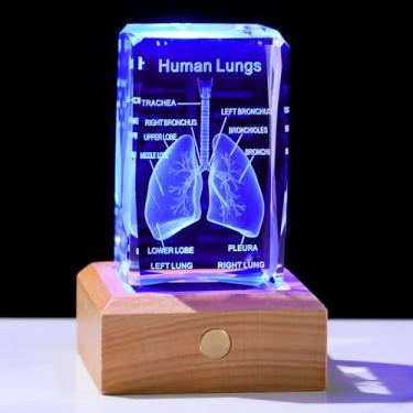 Imagem de Arikyrist Estatueta de médico modelo de pulmão humano 3D, presente de lembrança de vidro para homens