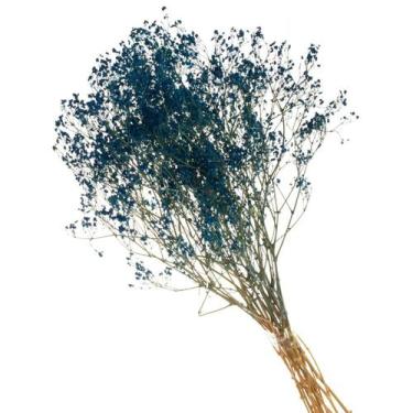 Imagem de Buque de Flores Secas Gypsofila Roxo - Pense Flores, Azul