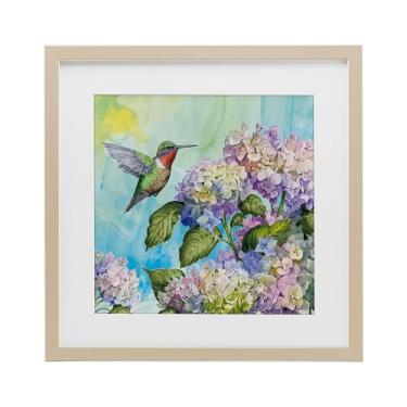 Imagem de Stupell Industries Impressão emoldurada de beija-flor e hortênsias bétula design sob vidro por Tim Coffey, 40,6 x 40,6 cm