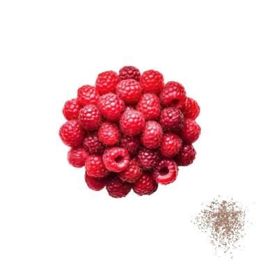 Imagem de 100 Sementes de Framboesa Vermelha - Faça sua Horta!