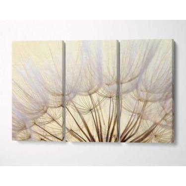 Imagem de 3 Quadros em Tecido Canvas Dente de Leão Pétalas Semente - LindaCasaPr