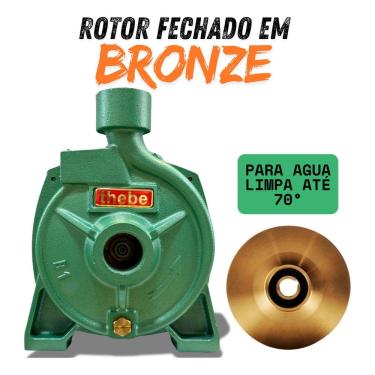 Imagem de Motobomba Centrífuga Thebe B-15 Rotor Bronze 2cv Mono 127/220v
