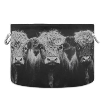 Imagem de JUZIHAI Cesta de armazenamento dobrável Highland Cows, cesto de roupa suja para bebê, cobertor com alças de corda de algodão, caixa organizadora de armário dobrável para quarto, berçário, casa, 50 x