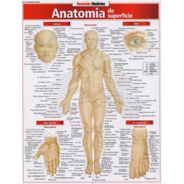Imagem de Resumão Medicina - 18 - Anatomia de Superfície - Barros Fischer & Asso