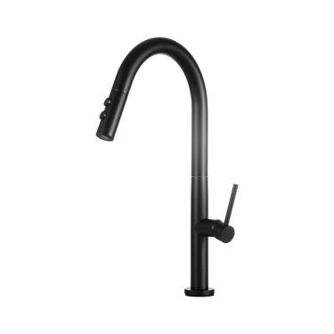 Imagem de Torneira Para Cozinha Misturador Monocomando Aço Inox 304 Pauini Pingoo.casa - Preto