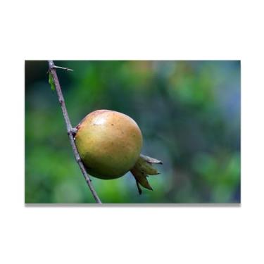Imagem de LKXGRRSFG Arte em tela de frutas sazonais de romã jovem e paisagem fotografada real – Decoração fresca para sala de estar e sala de jantar 30 x 45 cm sem moldura