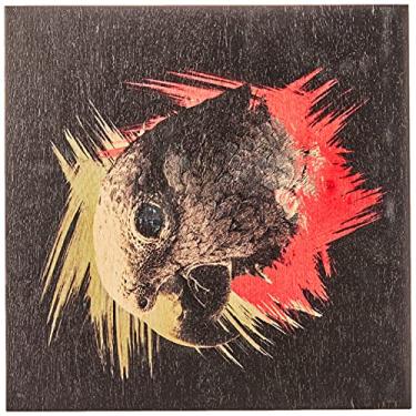 Imagem de Arte Maníacos Quadro Decorativo em Madeira Papagaio Color - 30x30cm