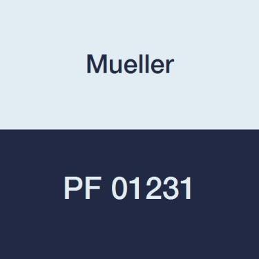 Imagem de Mueller Adaptador fêmea de cobre PF 01231, P x FPT, 1/5.1 cm x 1/5.1 cm