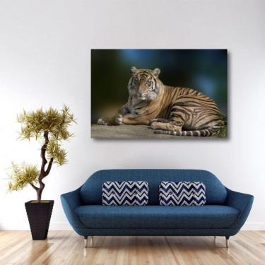 Imagem de Quadro decorativo Tigre Natureza Paisagem Tela em Tecido