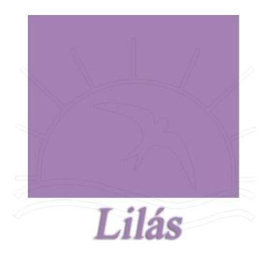Imagem de Pasta Aba Elástica Ofício - DAC, LILÁS