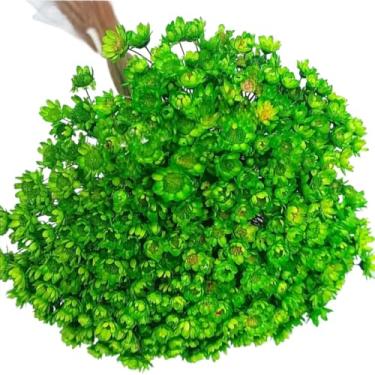 Imagem de Buquê de 300 Flores Secas Sempre Viva Mosquitinho – Mini Florzinhas Naturais para Arranjos e Decoração(Verde Claro)