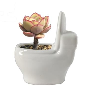 Imagem de Ruoxian Vaso pequeno de cerâmica de animais fofos para suculentas com drenagem, vaso de cerâmica para animais, planta interna (vaso sanitário)